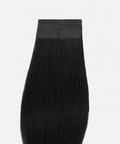 Black Beauty